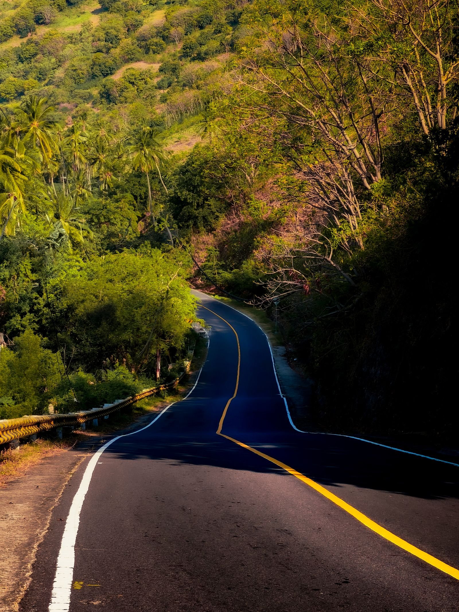 Route traversant la forêt en Guyane